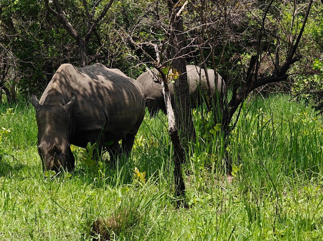 Kigezi Vima Safaris景点图片