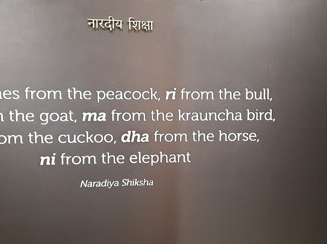 Indian Music Experience Museum景点图片