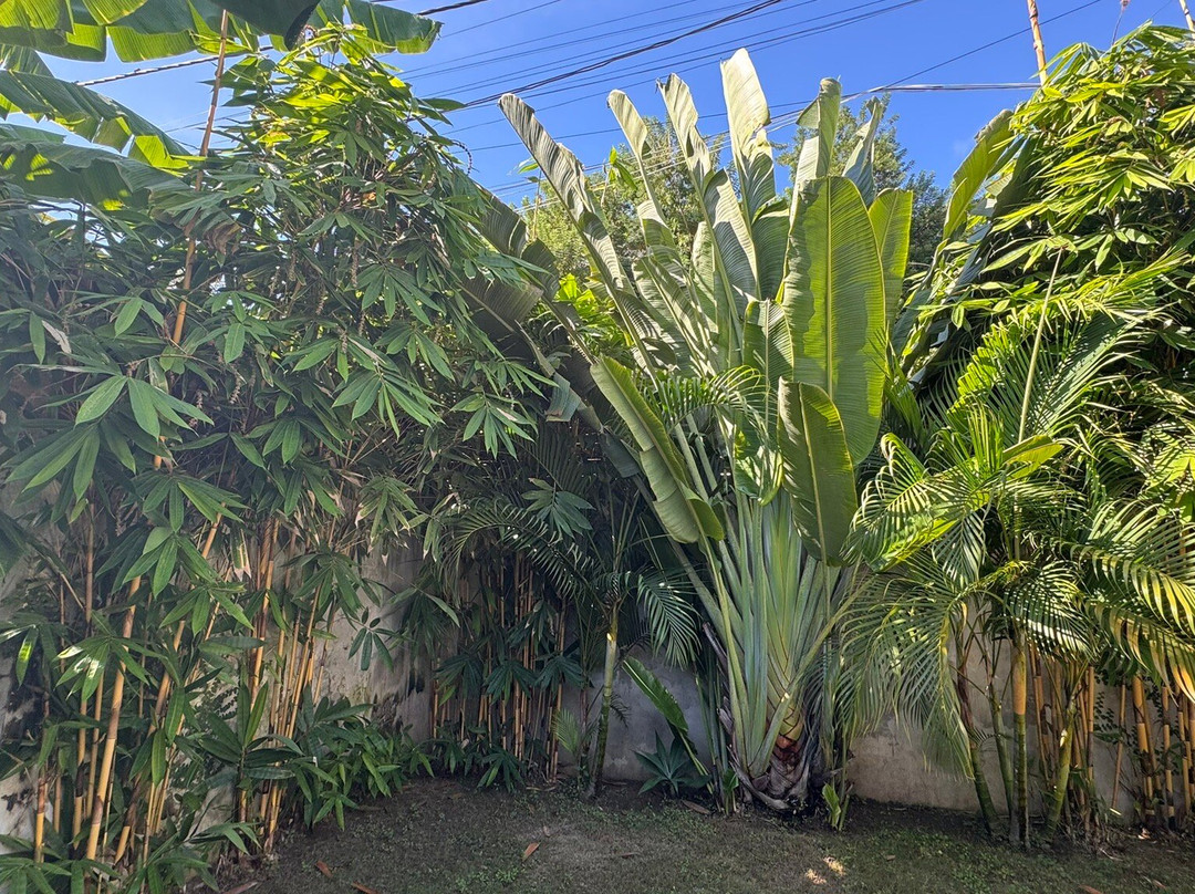 Marlaca Villas Lombok主图