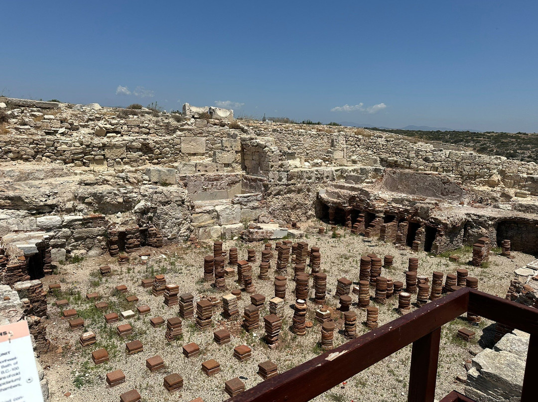 Local Archaeological Kourion Museum景点图片