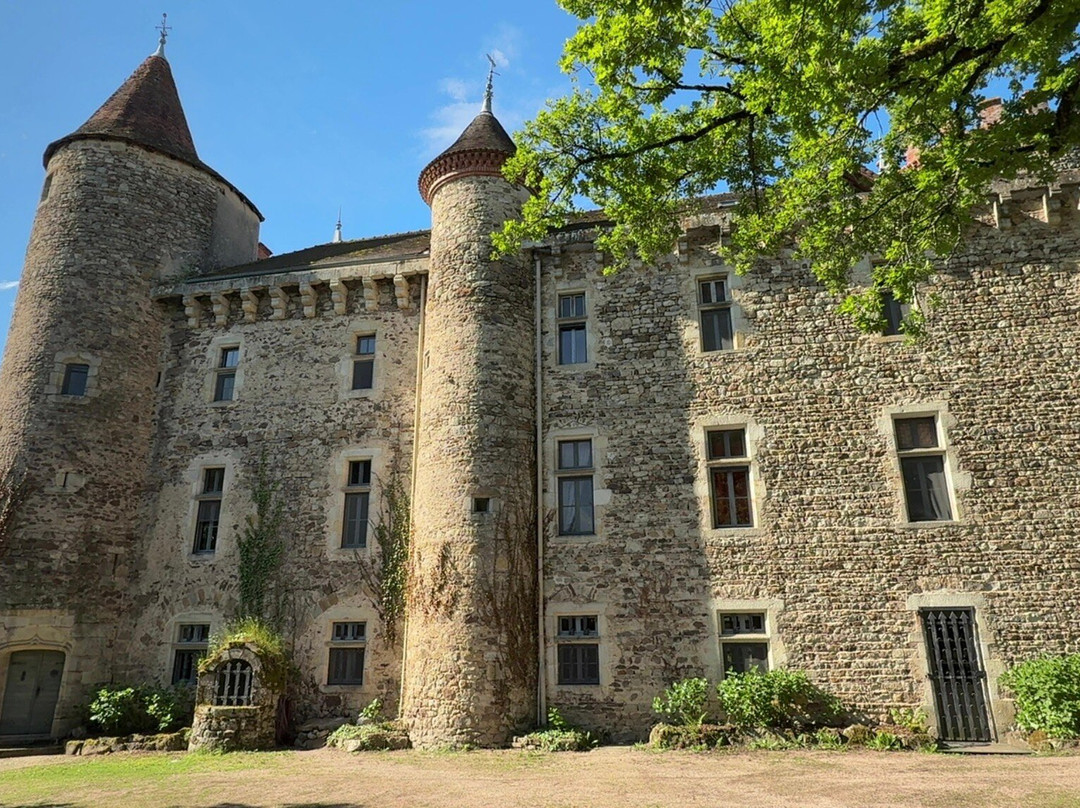 科迪纳特城堡酒店主图