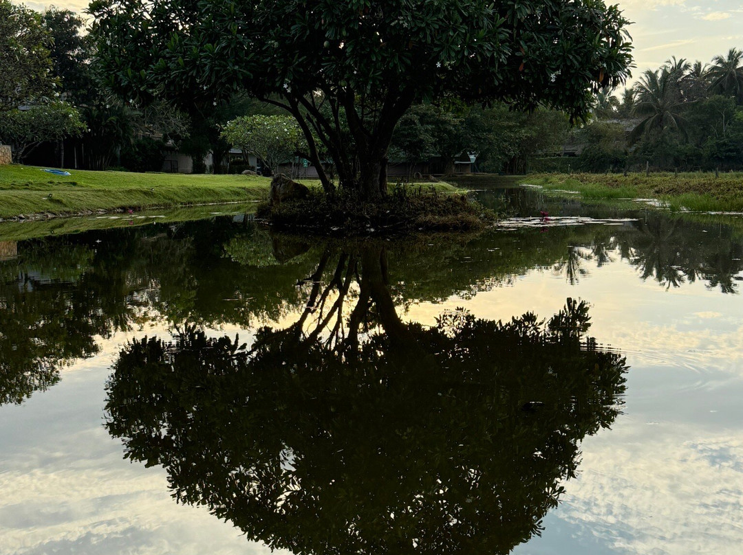 Nature Paradise Travels-科伦坡必去景点