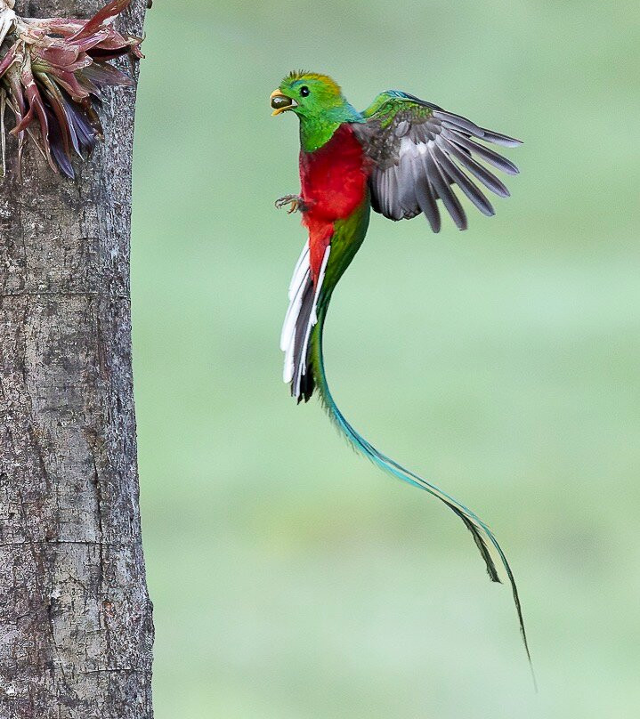 Geo Natura Tours-圣拉蒙必去景点