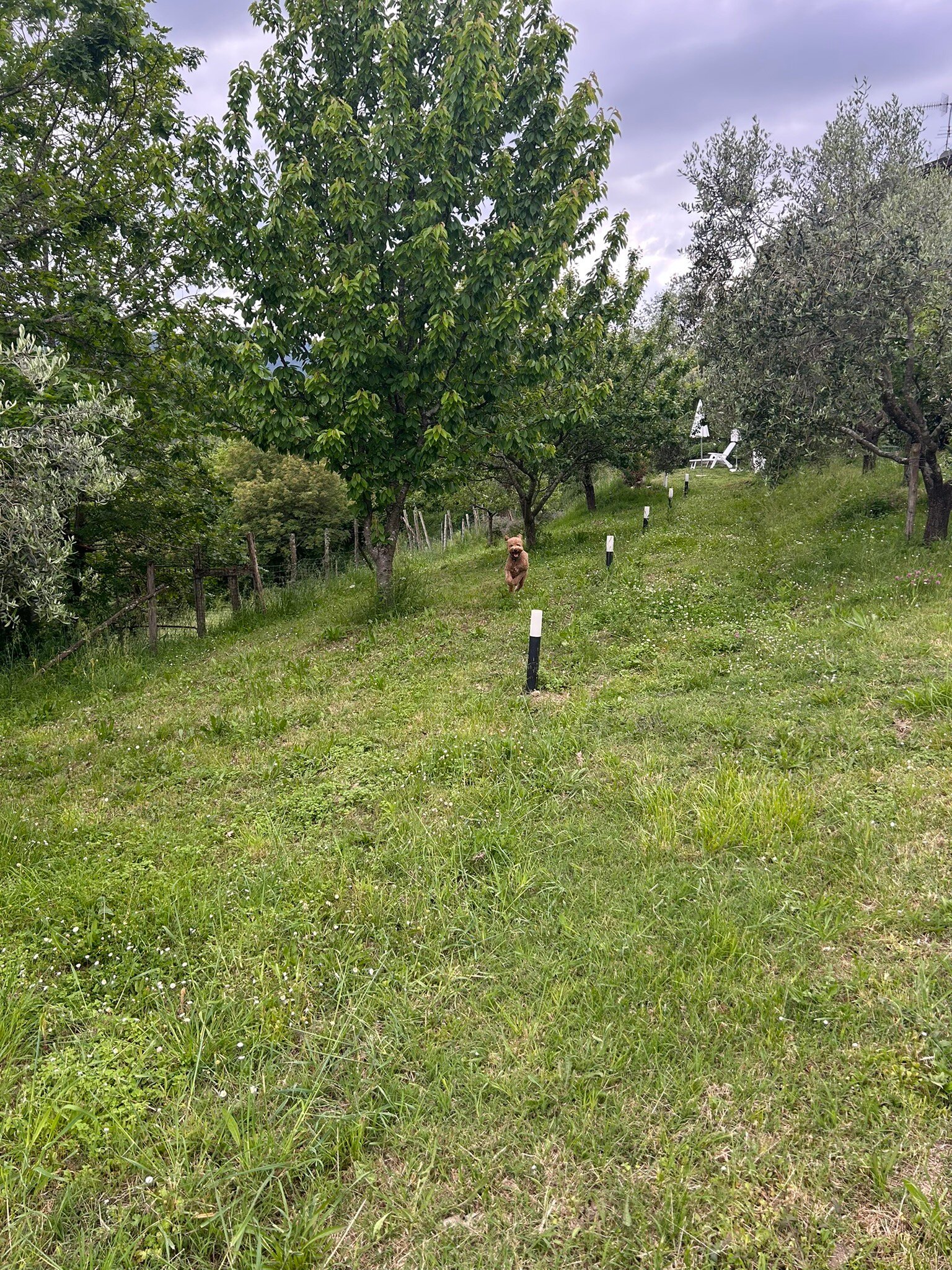 B&B Angiò nel Ceré-官方