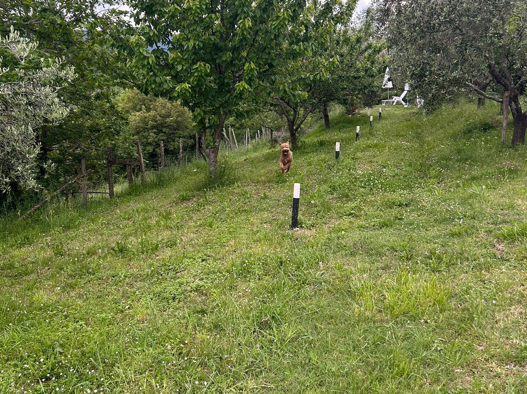 B&B Angiò nel Ceré主图