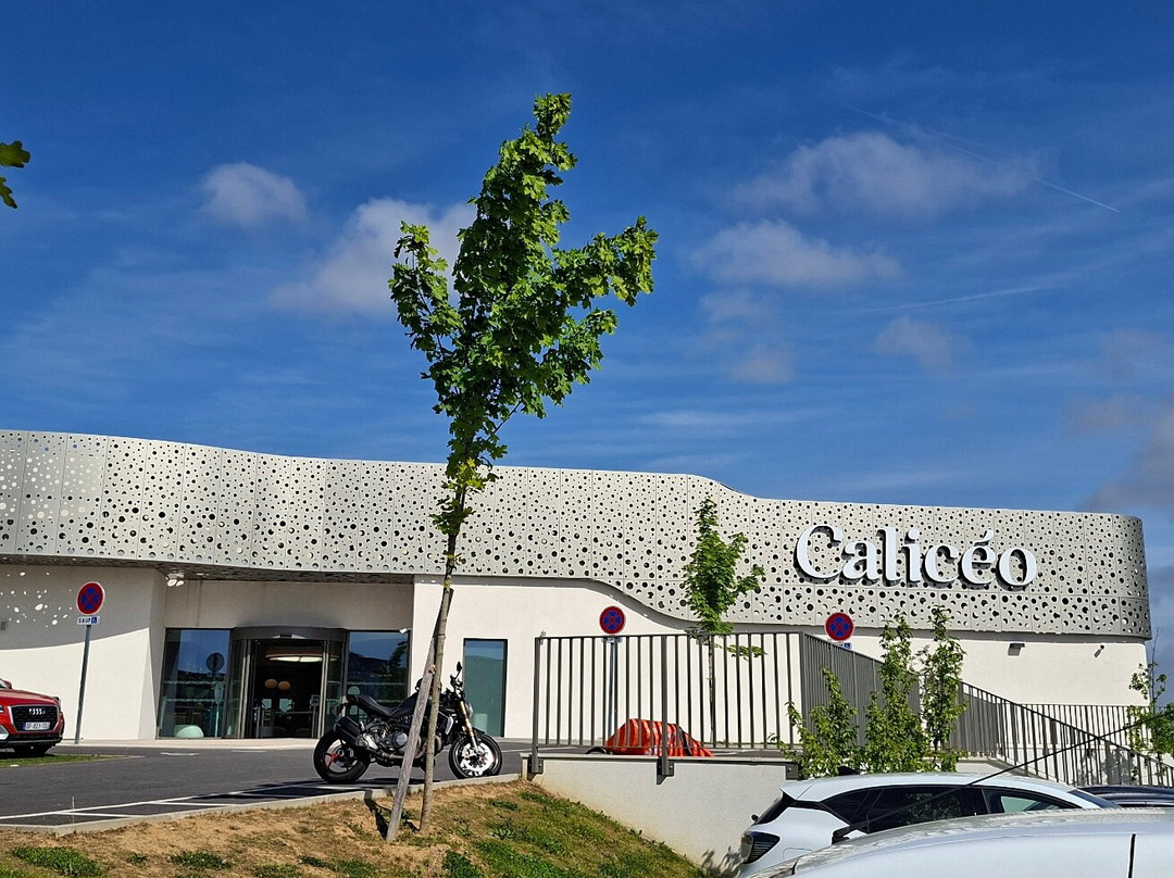 Calicéo