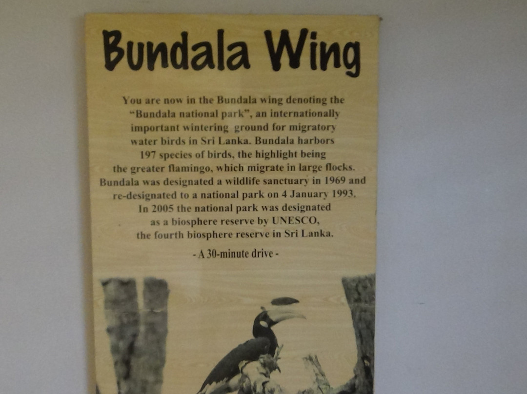 萨法瑞酒店主图