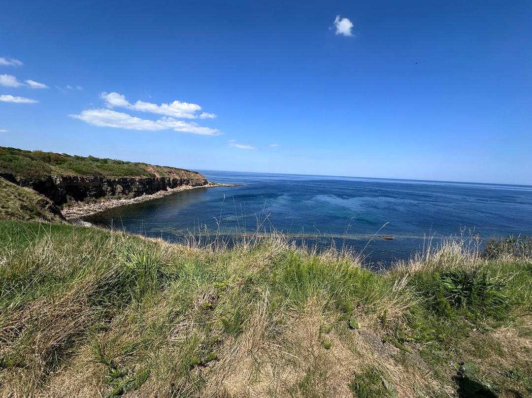 Cove Harbour-Cockburnspath必去景点
