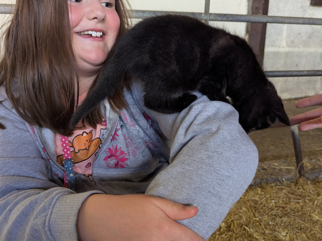 Boydells Dairy Farm-Wethersfield必去景点