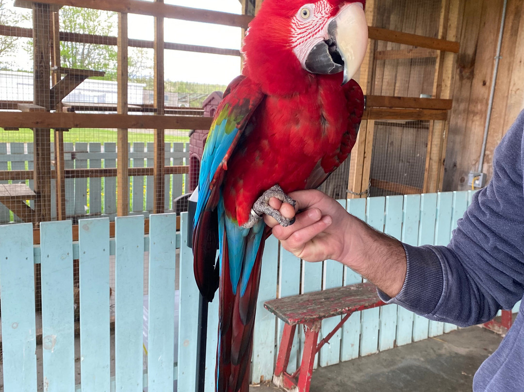 CineZoo-Sainte-Anne-de-la-Rochelle必去景点