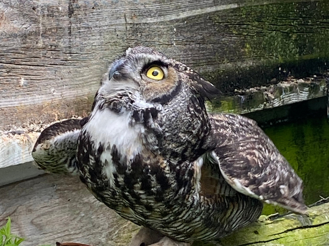CineZoo-Sainte-Anne-de-la-Rochelle必去景点