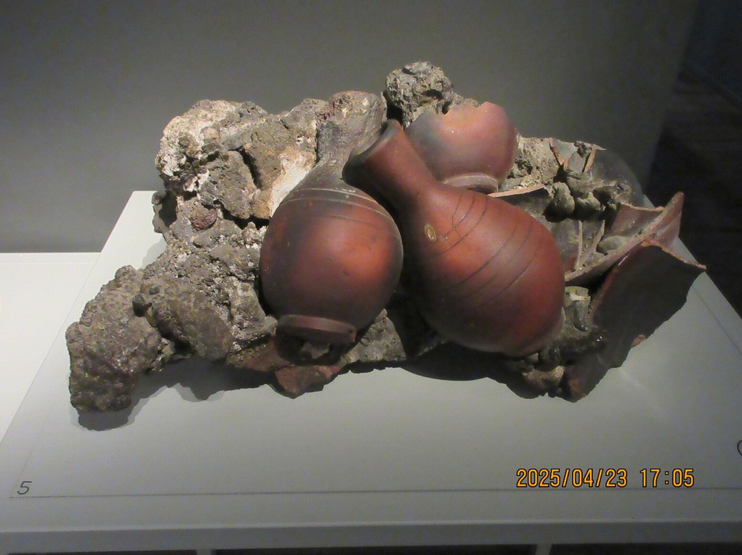 Mémorial De La Catastrophe De 1902-Saint-Pierre必去景点