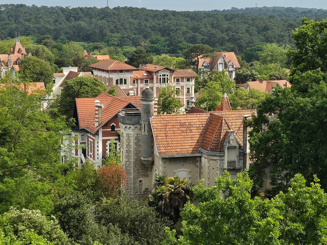 Observatoire Sainte-Cecile-阿卡雄必去景点