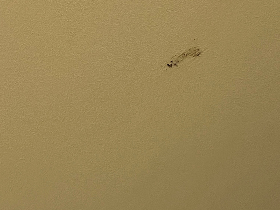 B&B Hotel Rust-Ettenheim主图