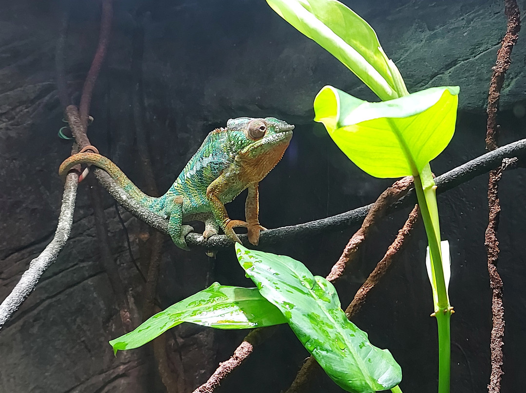 St Andrews Aquarium-圣安德鲁斯必去景点