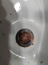 Best Western Danbury/Bethel主图