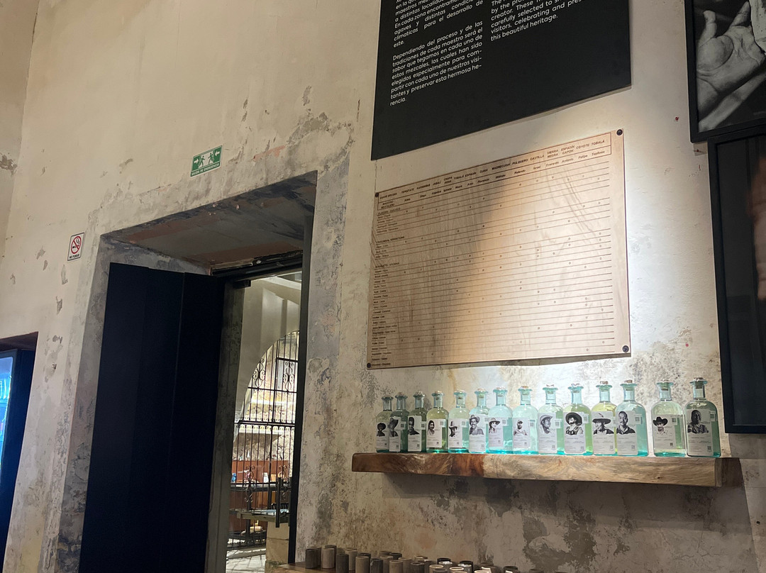 Xoul Art & Mezcal-巴利亚多利德必去景点