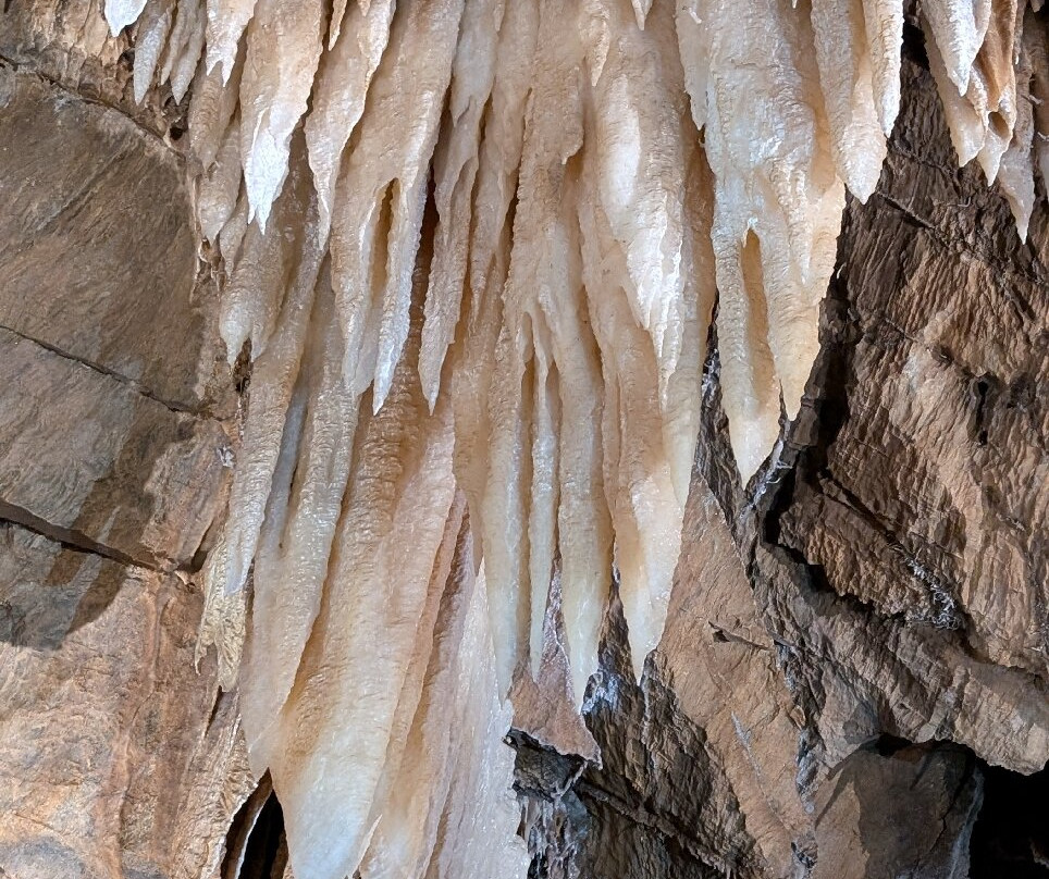 Black Chasm Cavern-Pine Grove必去景点