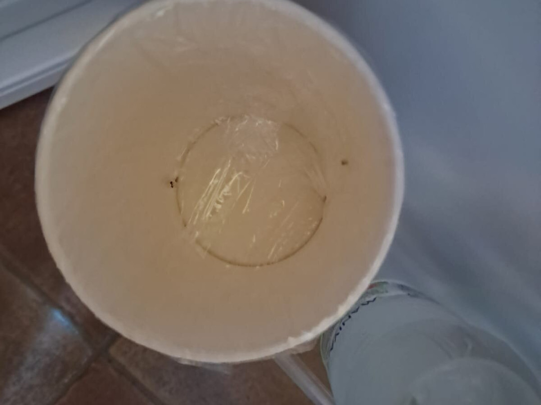 Hotel Aquadolce主图