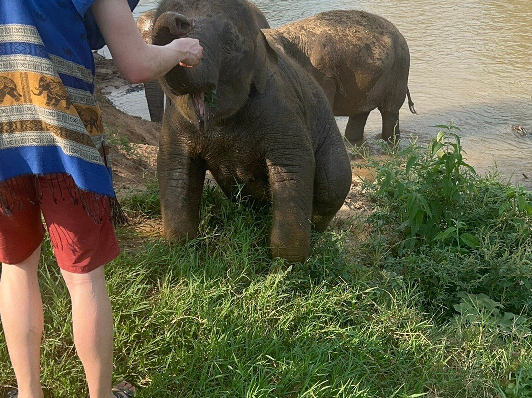 New Elephant Home-Kuet Chang必去景点