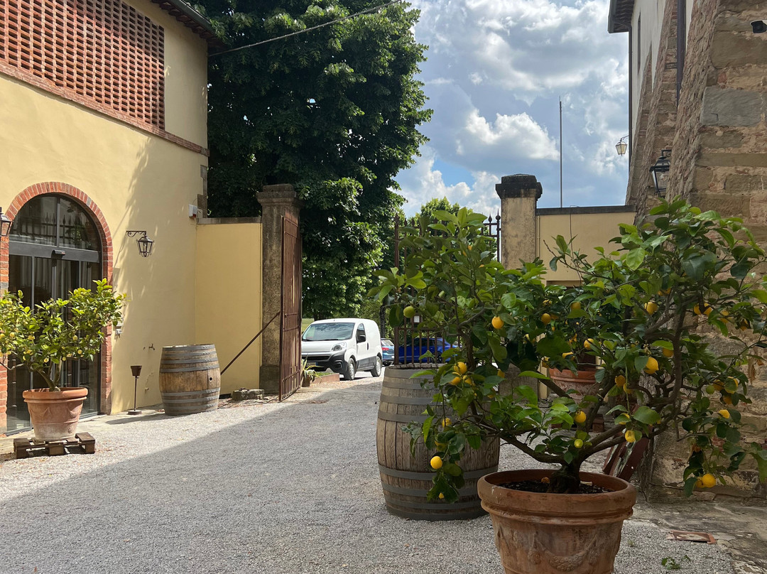 Tenuta di Frassineto景点图片