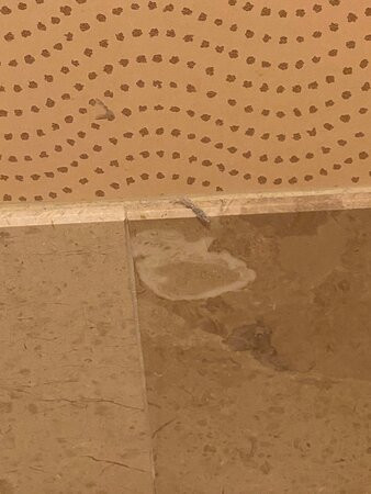 凯撒经典酒店主图