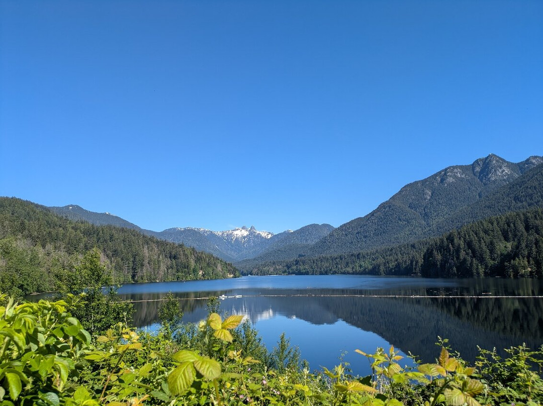 Capilano River Regional Park-北温哥华必去景点