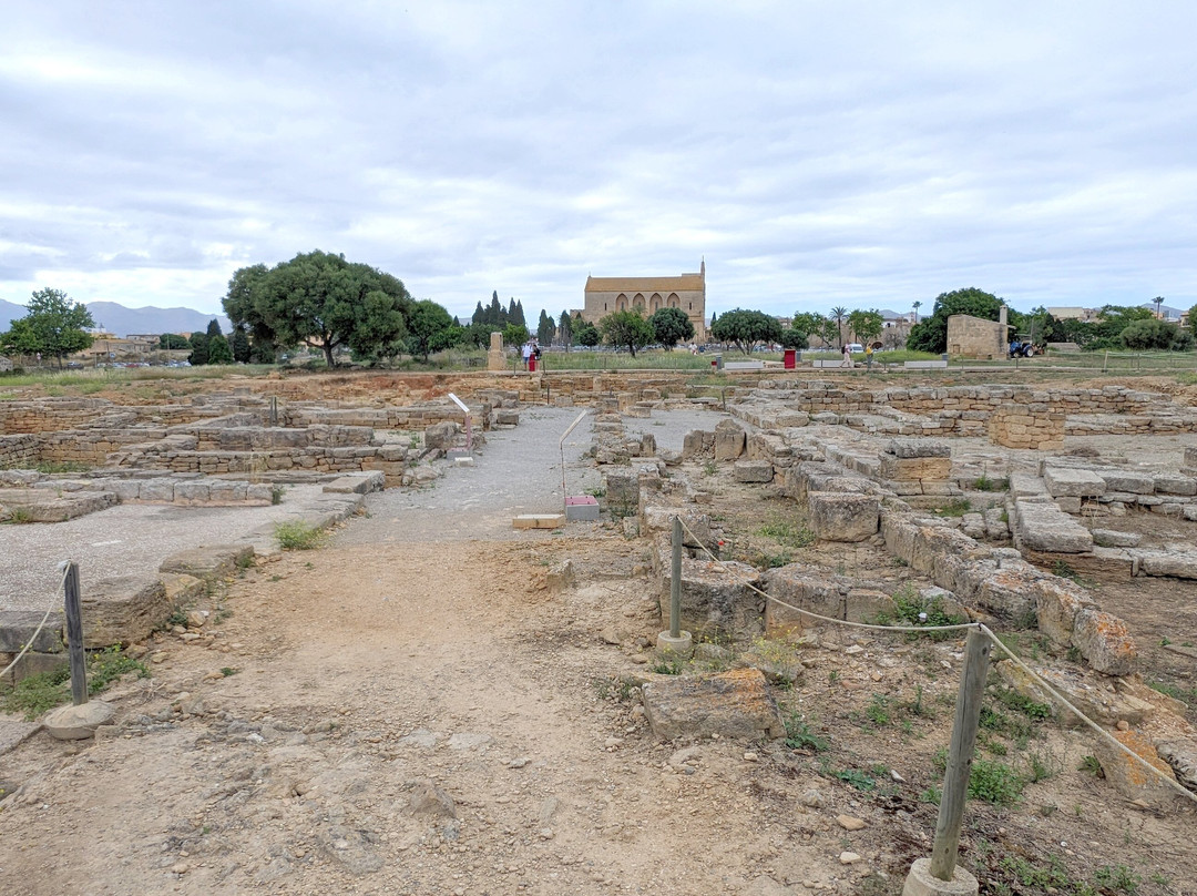 Ciutat Romana de Pollentia景点图片