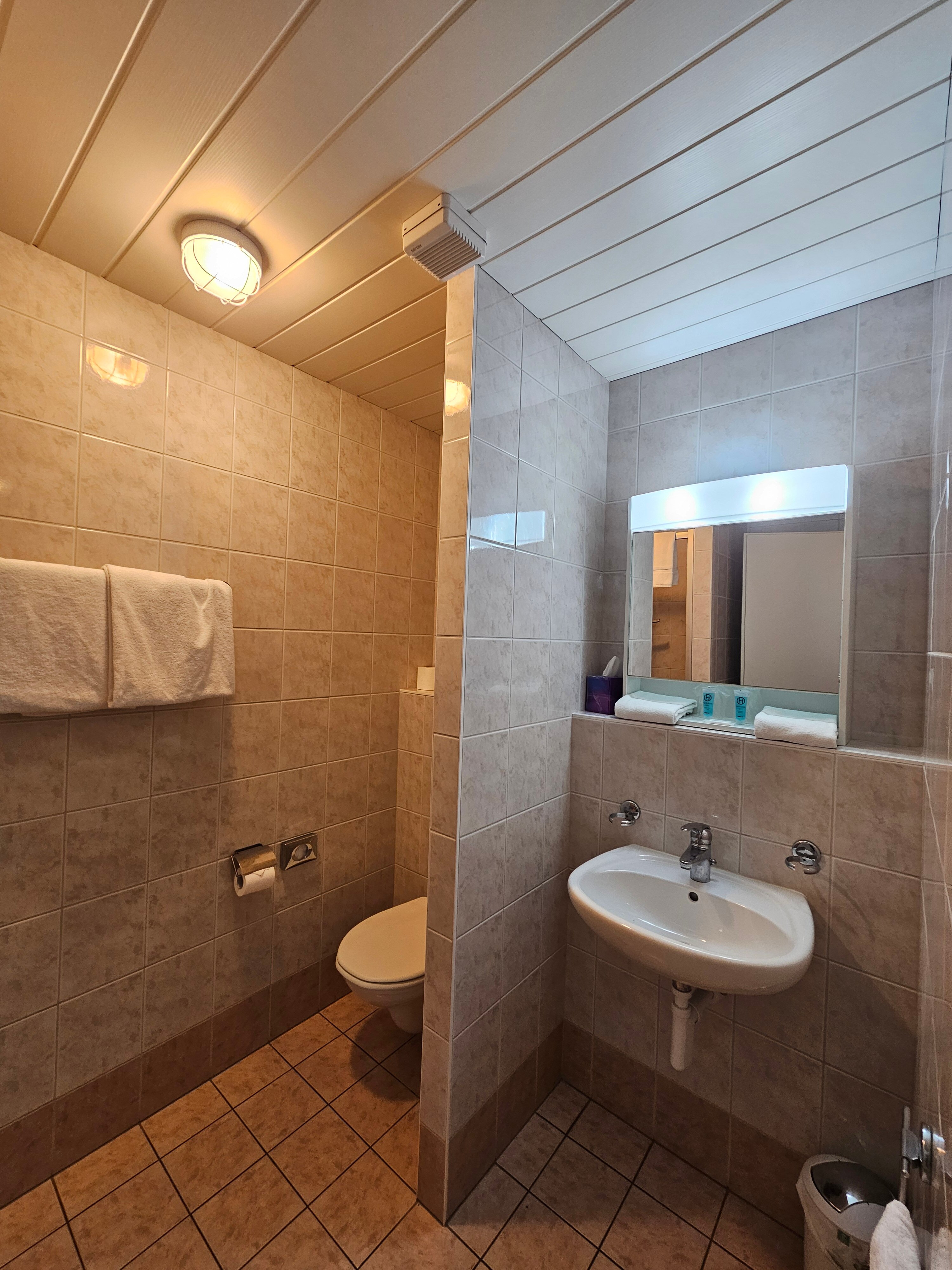 Hotel Les Rives du Doubs-浴室