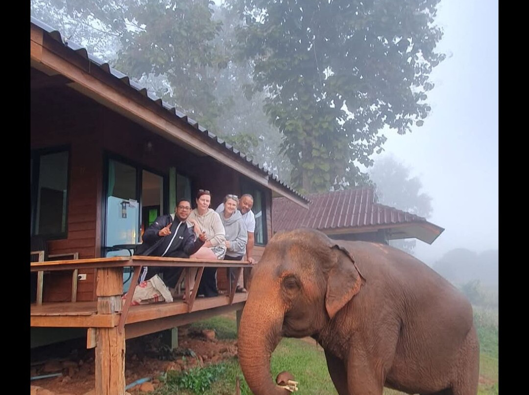 Chiang Mai Elephant Friends-夜旺必去景点