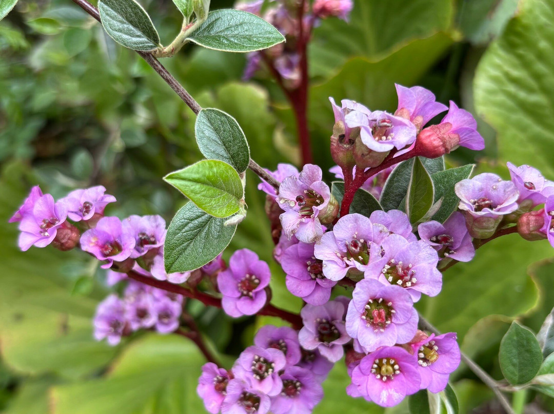 Monteviot Gardens-Jedburgh必去景点