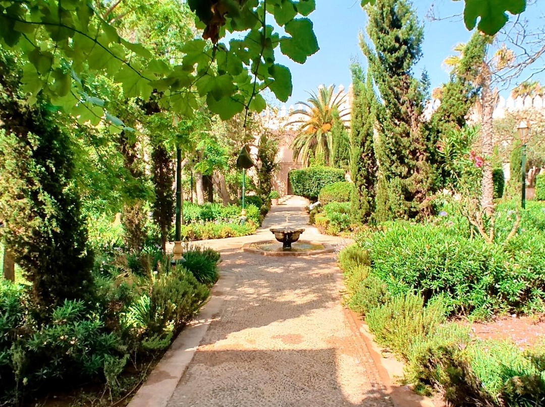 Fes Cooking & Cultural Tours-非斯必去景点