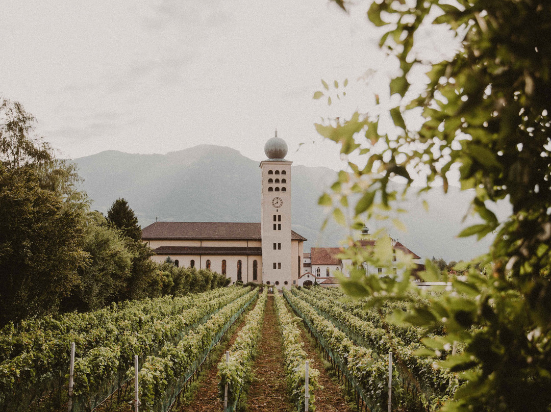 Hotel Schwarzschmied