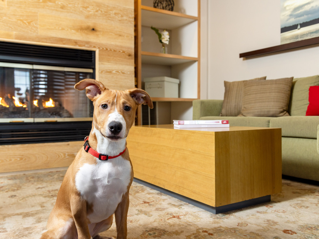 斯普林菲尔德卡尔森江山旅馆&套房酒店主图