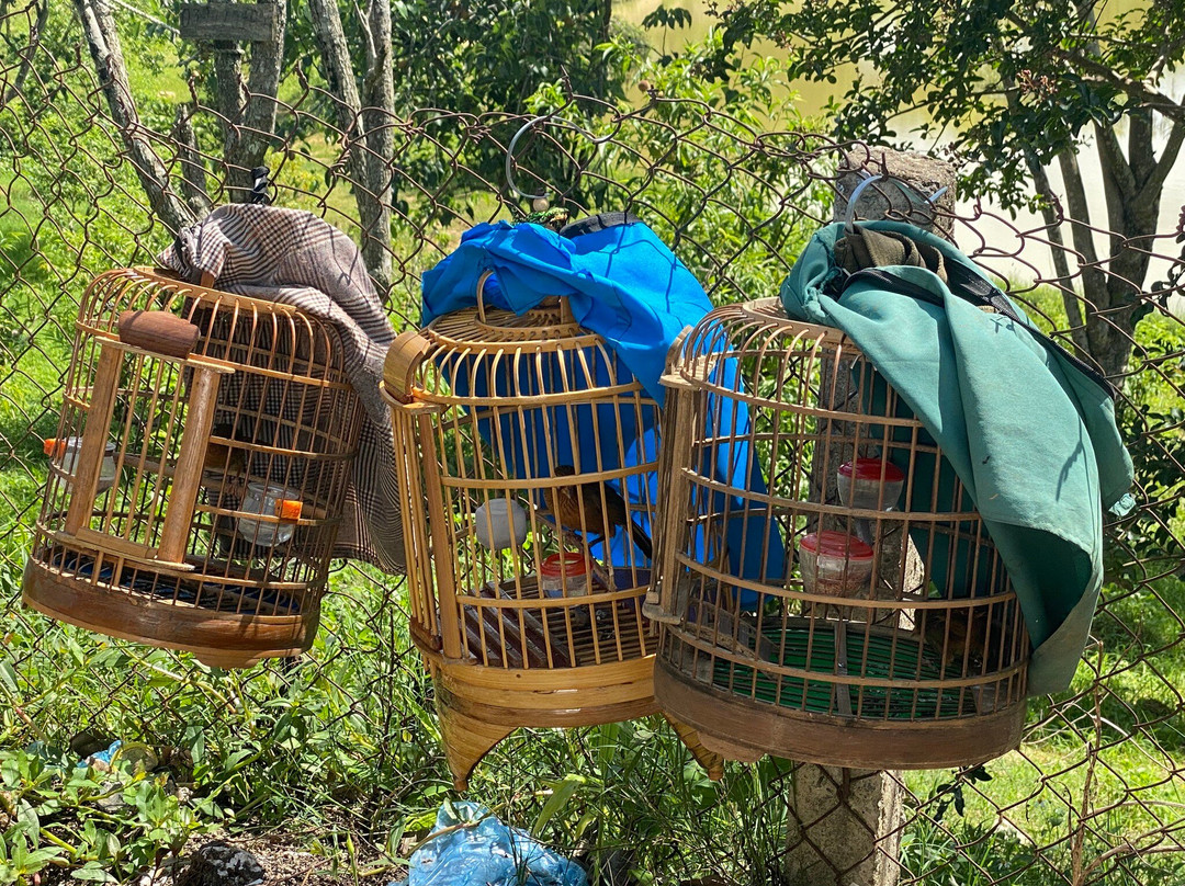 Bac Ha Lodge Retreat