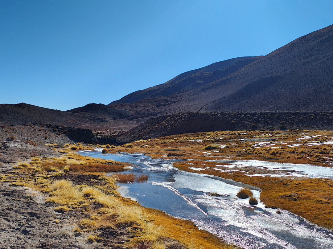 Salar De Antofalla景点图片