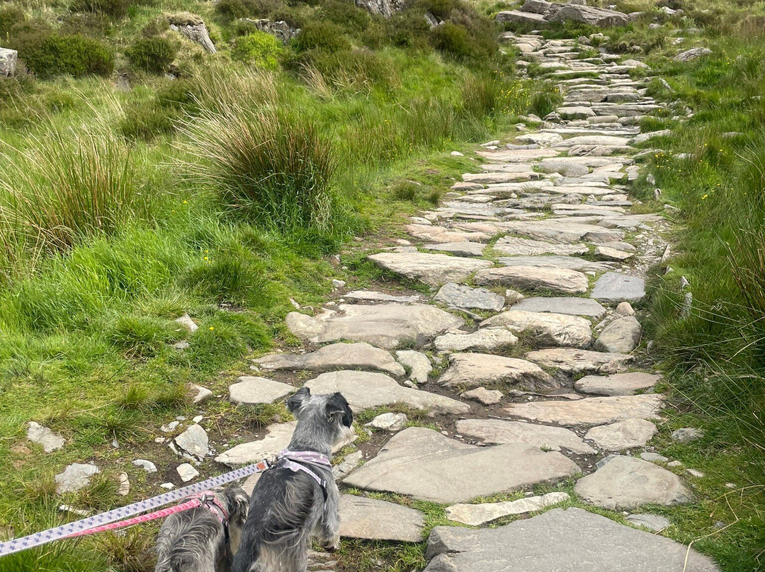 Cwm Idwal National Nature Reserve景点图片