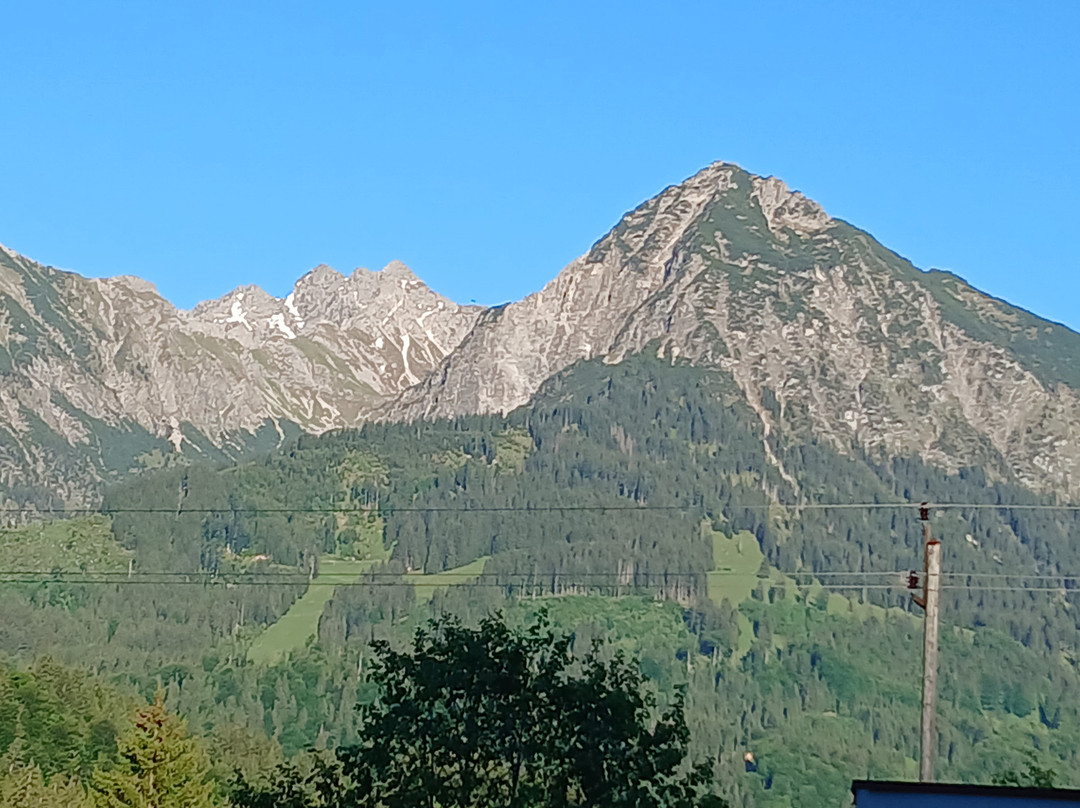 Wohlfuhlhotel Frohsinn主图