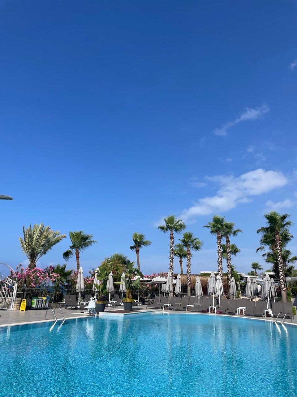 Aria Resort & Spa Hotel-泳池