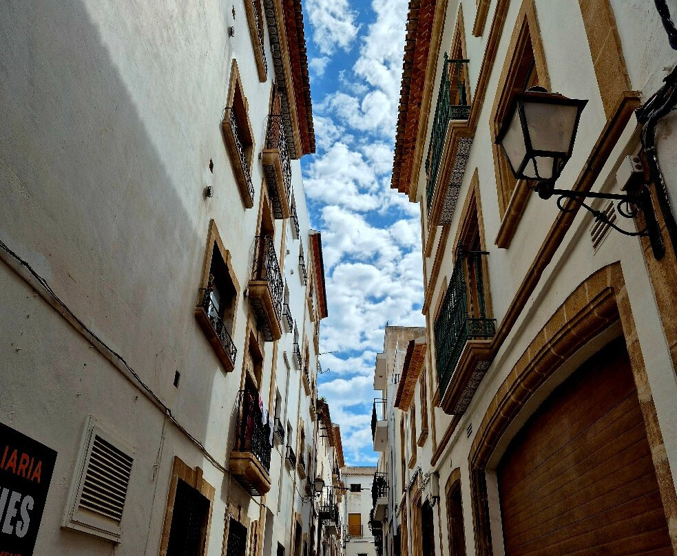 Mercado Municipal de Javea景点图片
