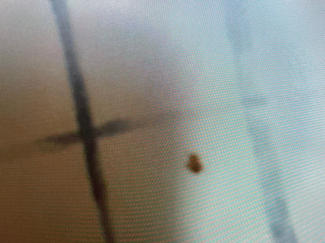 Beachside Boutique Inn主图