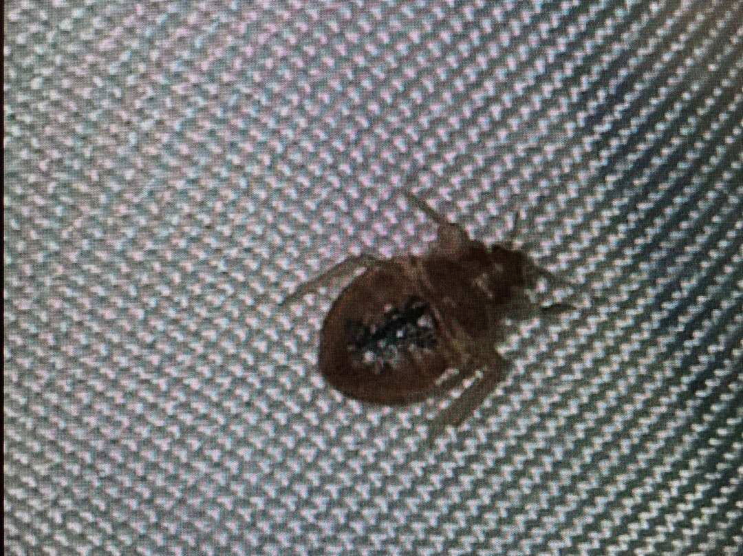 Beachside Boutique Inn主图