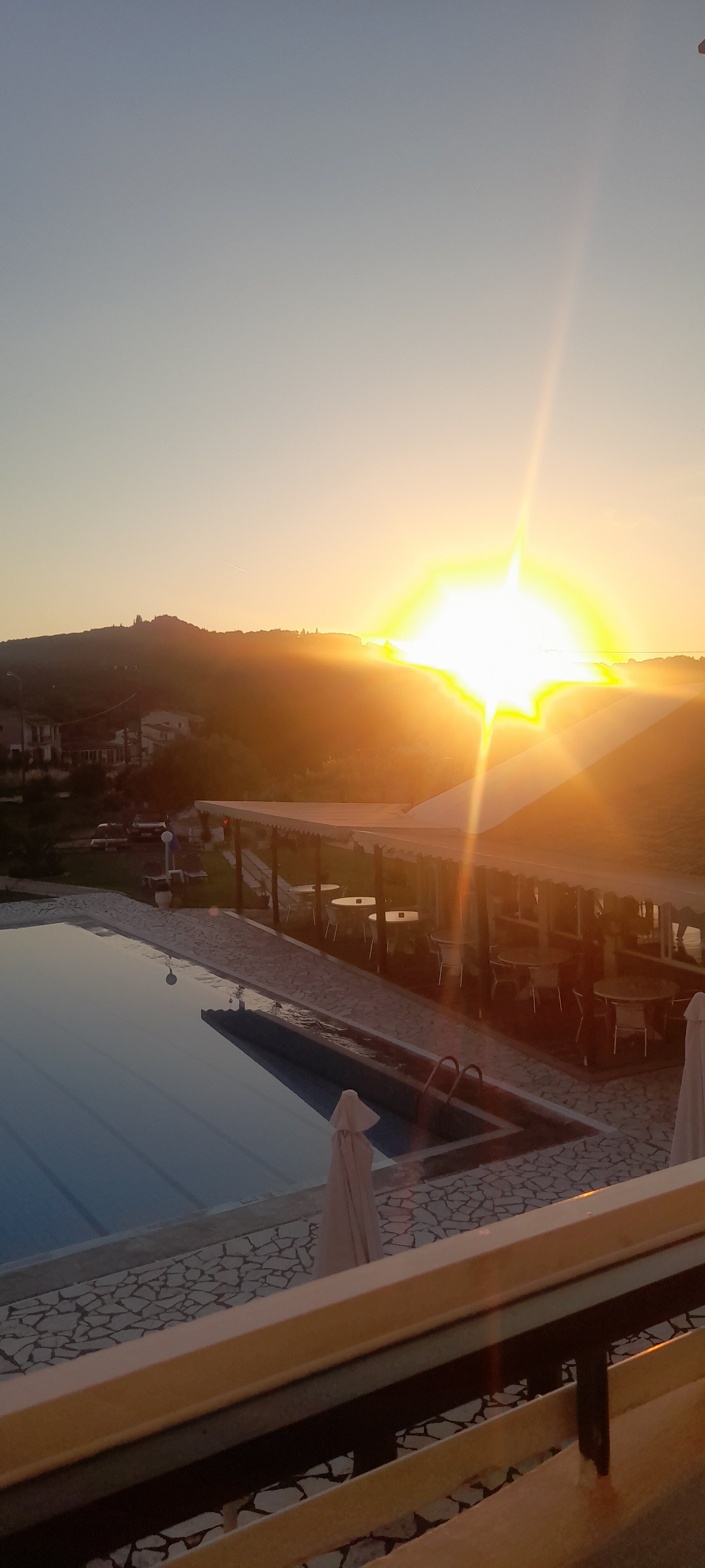 Alexia Palm Grove-官方