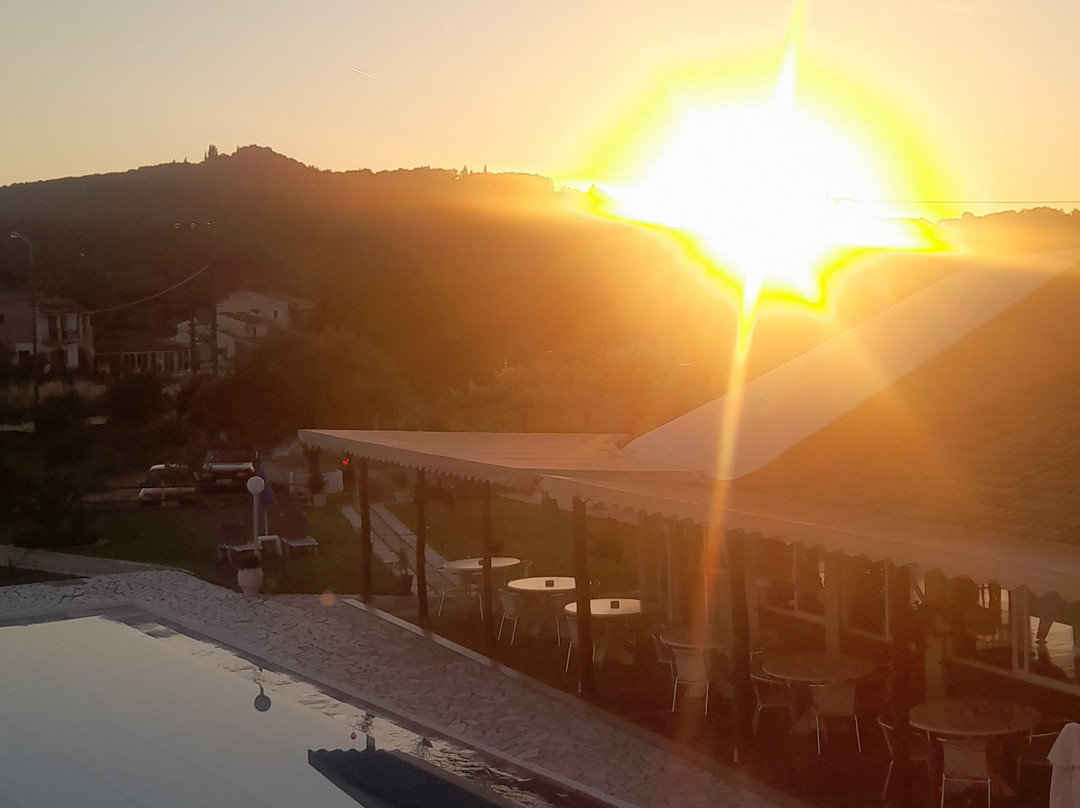 Alexia Palm Grove主图