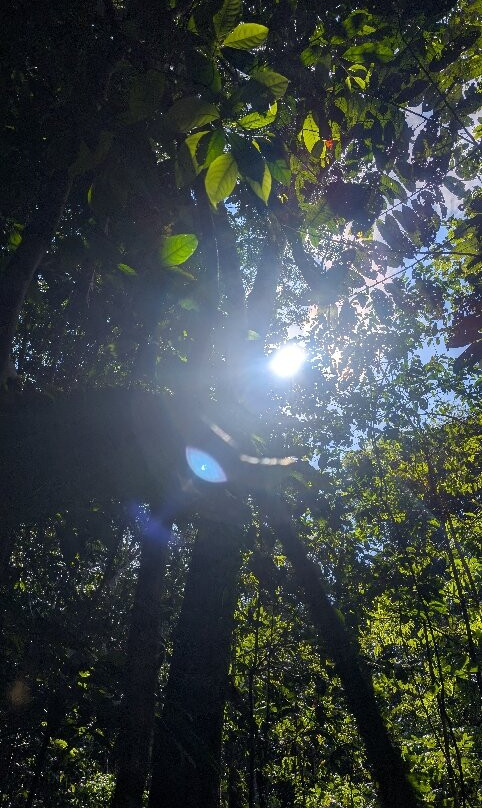 Parque Ecologico Mundo Amazonico景点图片