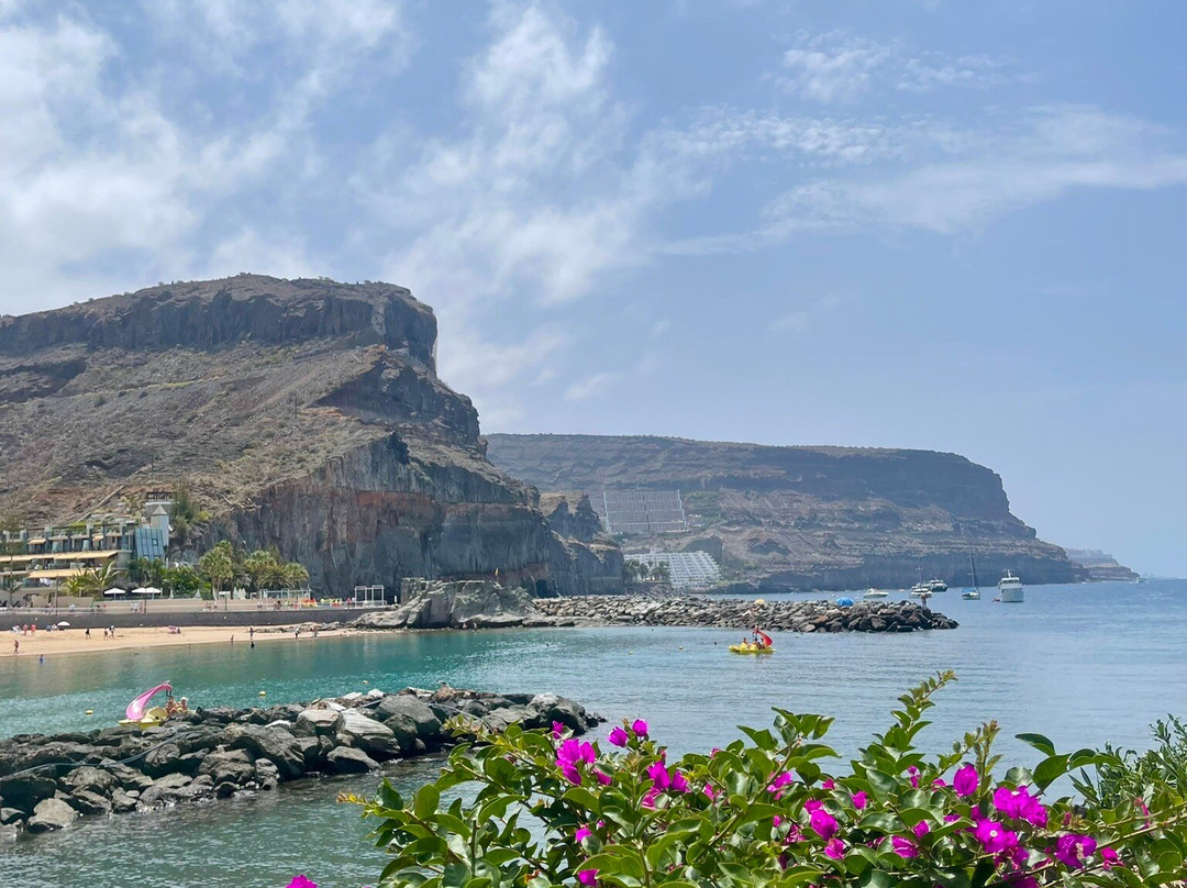 Playa de Mogan景点图片