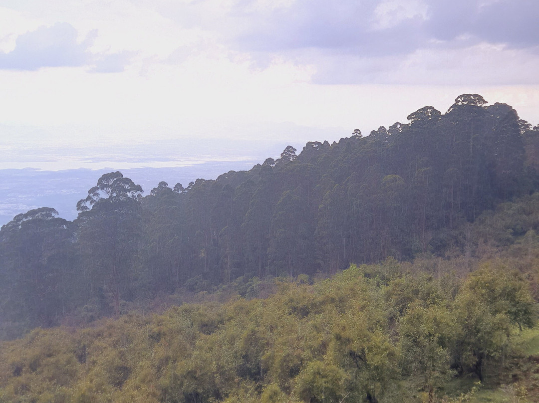 Dolphin Nose Retreat主图