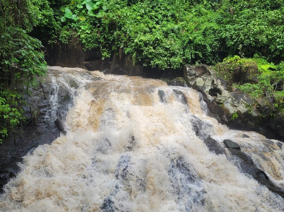 Bali Sunrise Tour-金塔马尼必去景点