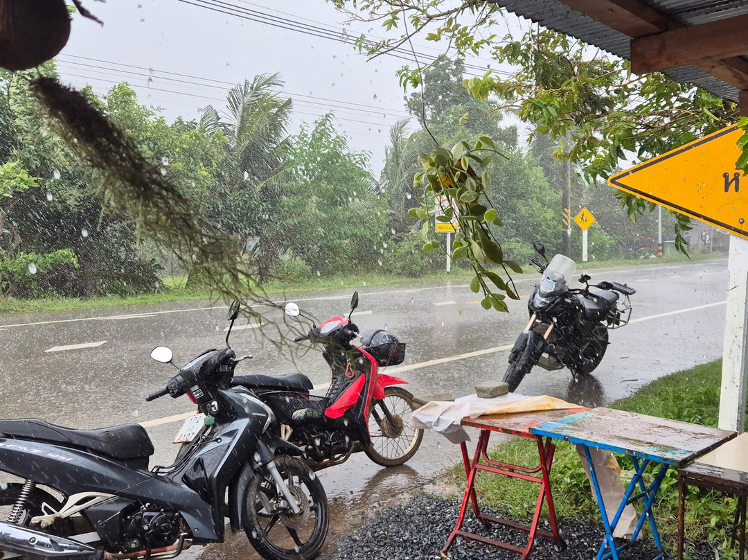 Phuket Garage-卡马拉必去景点