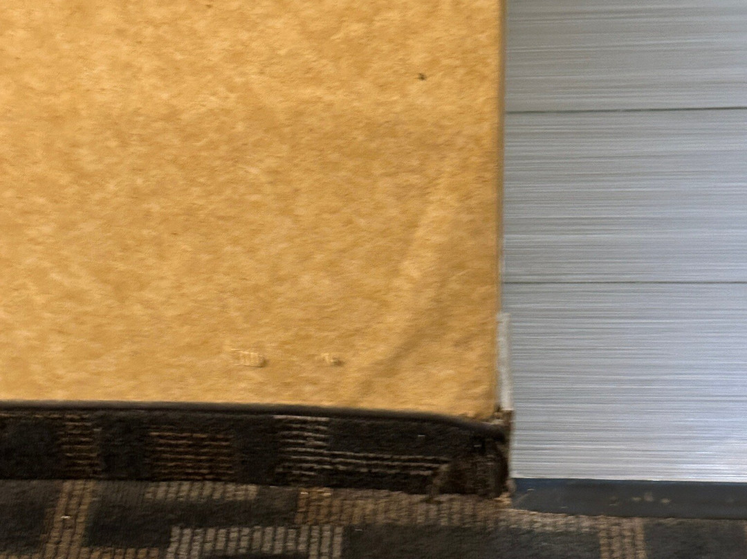 克林顿汉普顿酒店主图